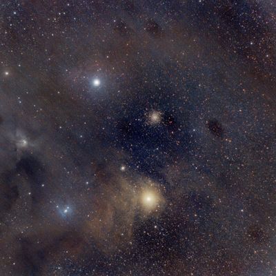 A wide-field image of the Antares Nebula region, with red and gold dust clouds surrounding the star Antares.